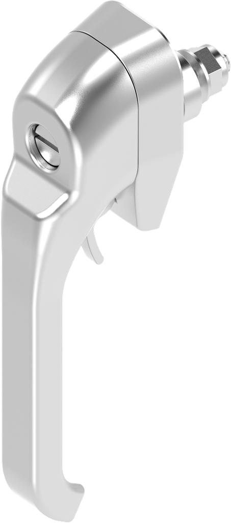 Chiusura a leva con inserto taglio 2 x 4 e per lucchetto, acciaio inox AISI 316