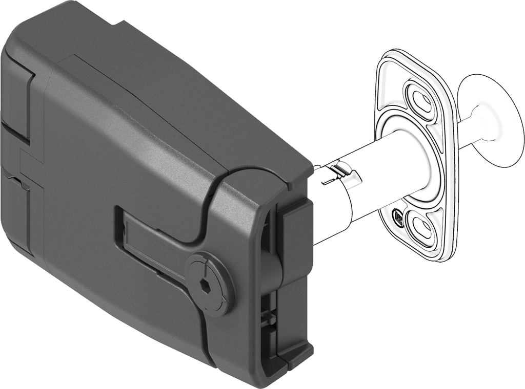 verrou charnière avec décompression rotor 6 pans creux SW 4, polyamide GF noir