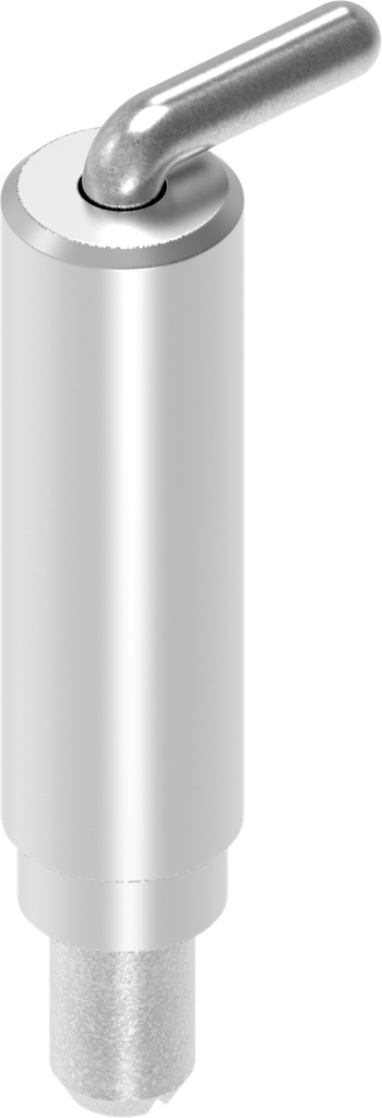 Stiftscharnier, RVS 304